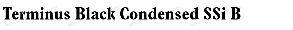 Terminus Black Condensed SSi Bold Condensed字体转换